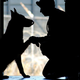Image for article titled 26 Awesome Photos of War Dogs Showing How Badass and Cute They Can Be